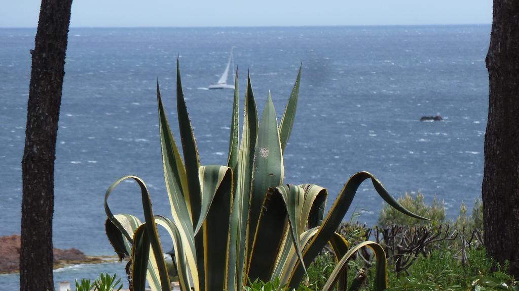 Bastidon Vue Mer Antheor-Cap-Roux Ruang foto